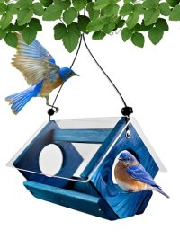Backyard Essentials Petite Bluebird Feeder
