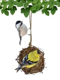 Backyard Essentials Round Vine Bird