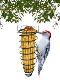 Backyard Essentials Corn Caddy Squirrel Feeder